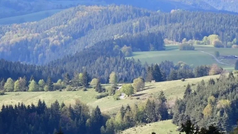 Lakšárska Nová Ves – 2.097 m2 LESY A PÔDA – NA PREDAJ