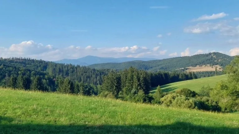 Poniky – 8.695 m2 ORNÁ PÔDA a LESY – Na Predaj