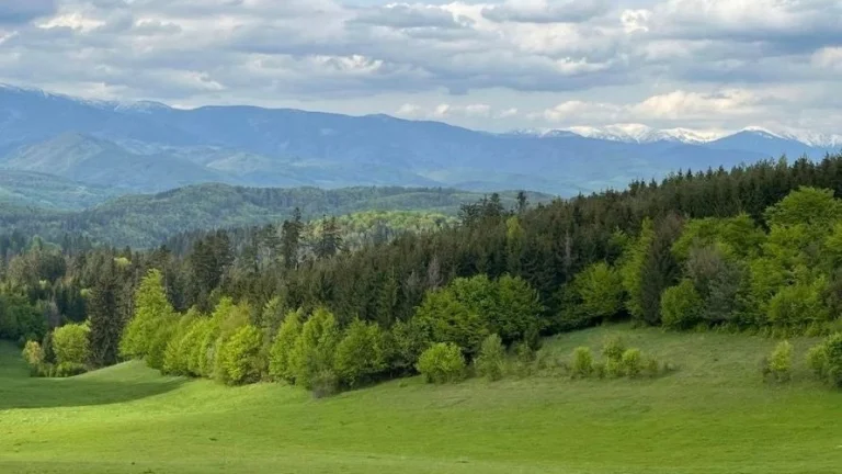 Poniky – 12.701 m2 ORNÁ PÔDA a LESY – Na Predaj
