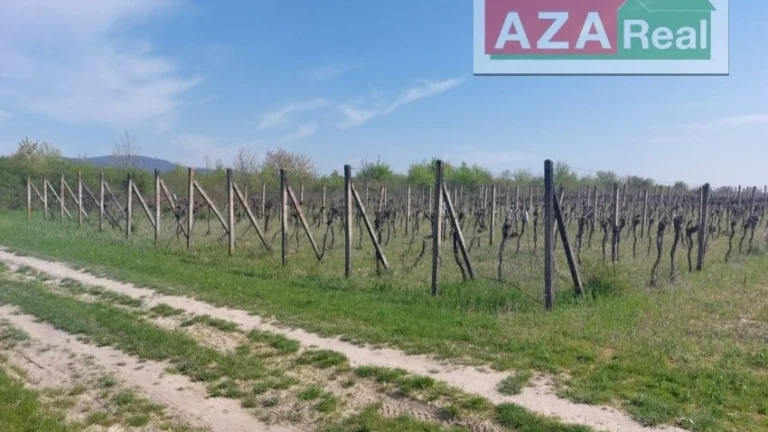 Vinica v Modre je na predaj-5739m2