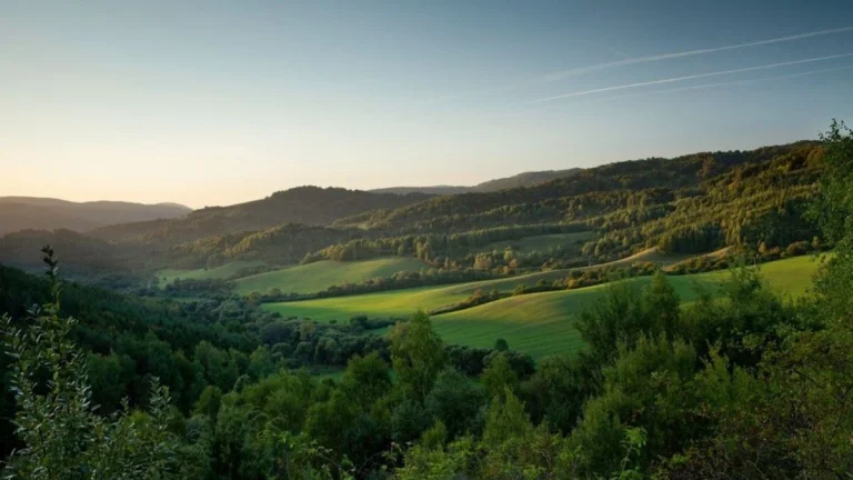 Snina - 1.253 m2 ORNÁ PÔDA a LESY – PREDAJ