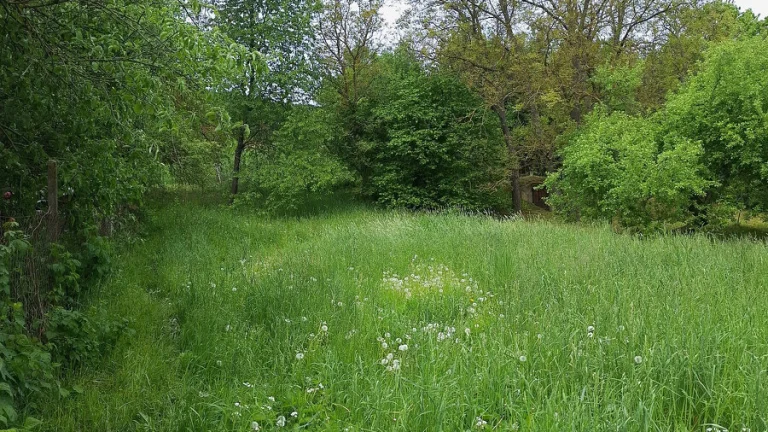 Stavebný pozemok pod hradom Čičva