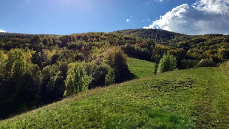 Hrlica – 2.824 m2 PÔDA a LESY - Na predaj