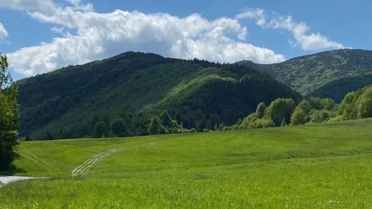 Čierny Balog – 98 m2 LES a PÔDA – PREDAJ