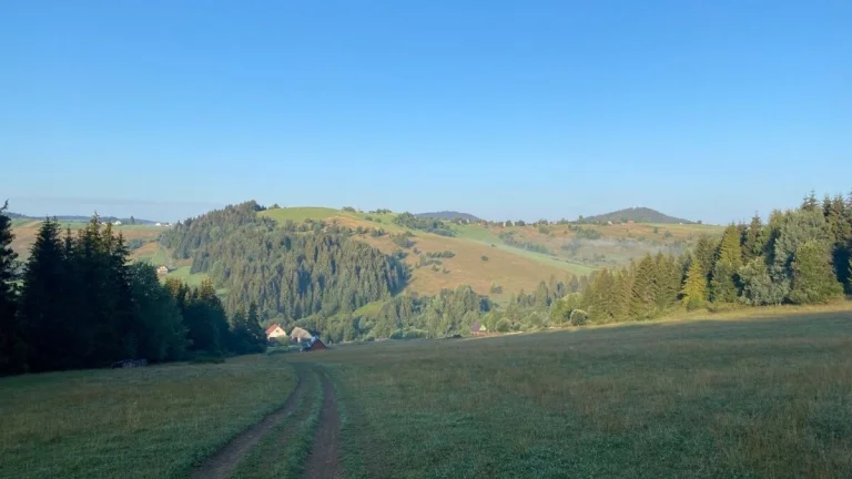 Horný Tisovník - 608 m2 - INVESTIČNÉ LESNÉ pozemky
