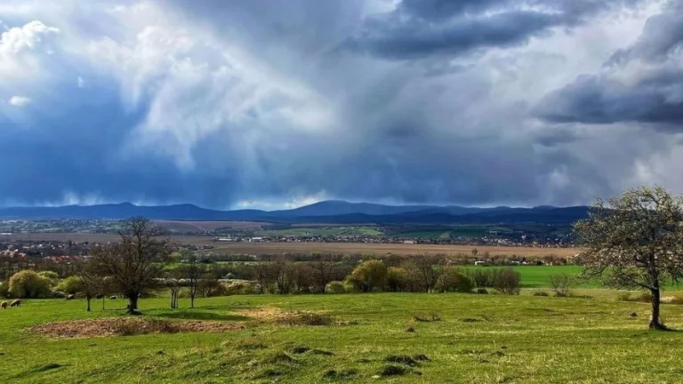 Žitavany – 880 m2 ORNÁ PÔDA a LESY – Na Predaj