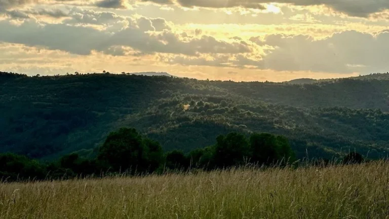 Madačka – 26.051m2 LESOV (Urbáru) – PREDAJ