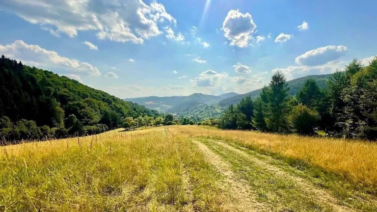 Klieština - 6.174 m2 LESY a PÔDA - Na predaj