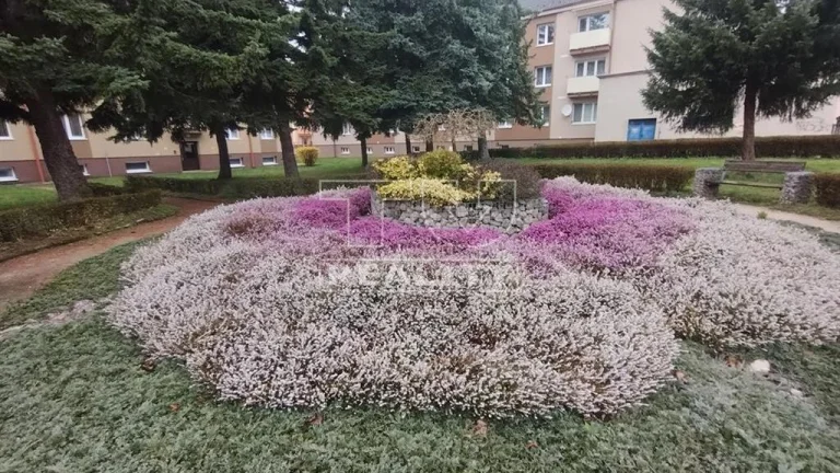 2 izbový byt na Starej Turej