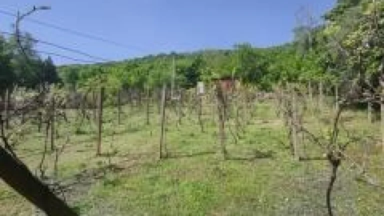 Vinica v krásnom prostredí - Jablonov nad Turňou