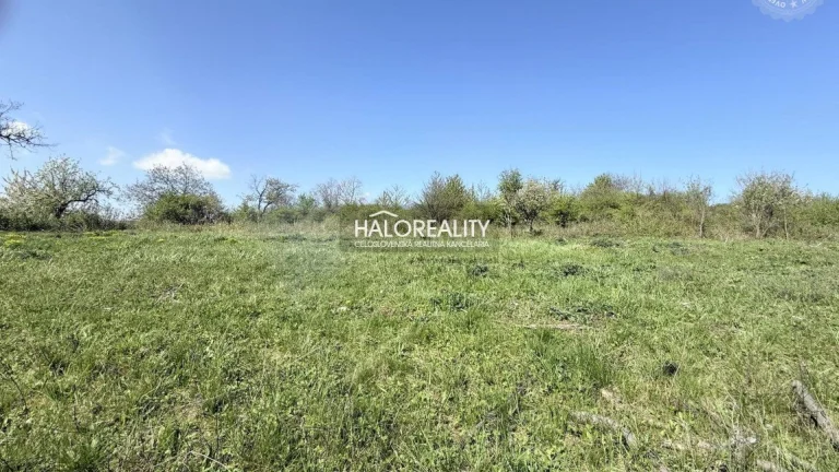 HALO reality - Predaj, záhradný pozemok 860 m2 Rybník
