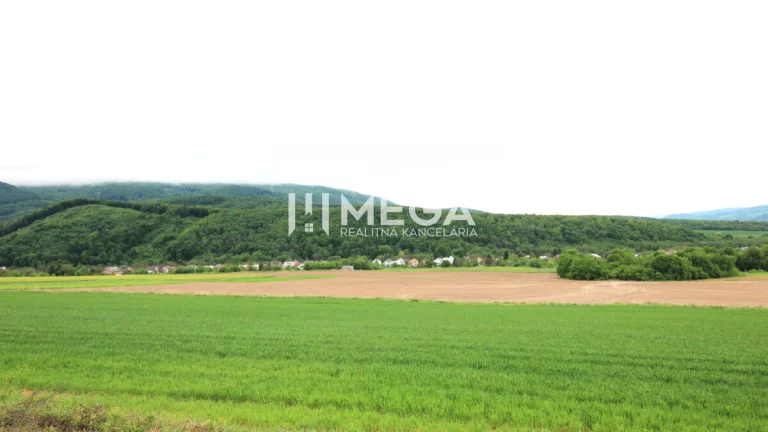 NA PREDAJ INVESTIČNÝ POZEMOK V OBCI ZEMPLÍNSKE HÁMRE 3114 m²
