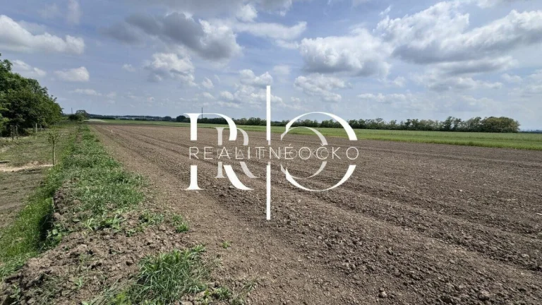 Pozemok na predaj 14829, Nový Ruskov