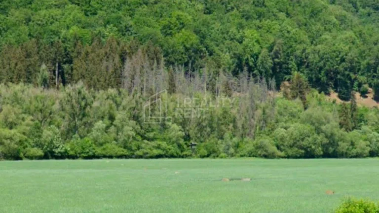 Na predaj investičný pozemok 4921m2 Rajecké Teplice