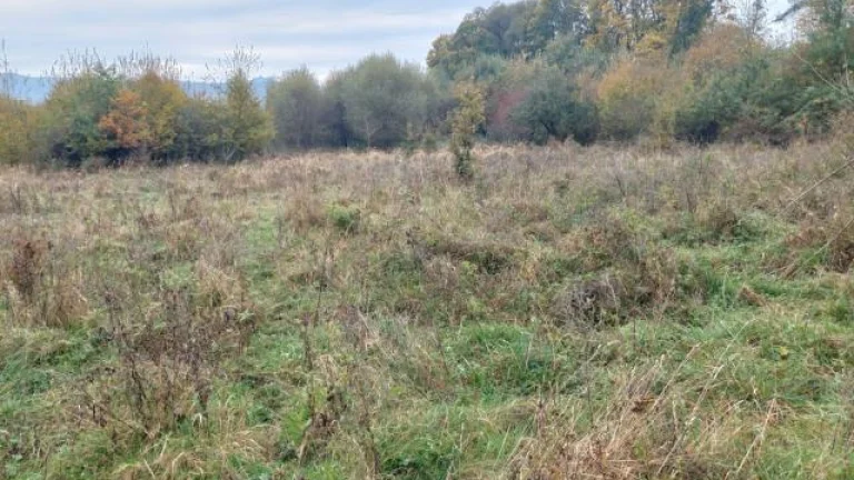 PREDAJ VEĽKÝ STAVEBNÝ POZEMOK BYTĆA VHODNÝ PRE DEVELOPERA
