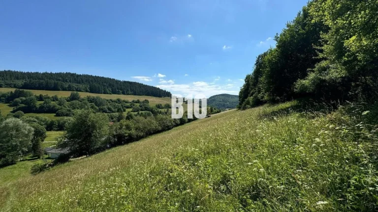 Slnečný stavebný pozemok Dolný Vadičov 7321m2