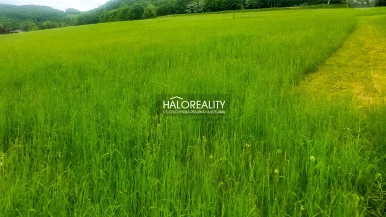 HALO reality - Predaj, pozemok pre rodinný dom 2419 m2 Nim