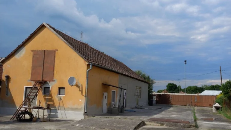 Predám starší dom s velkým pozemkom