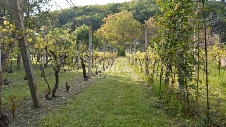 NA PREDAJ: zaujímavý pozemok 740m2 - Smolenice