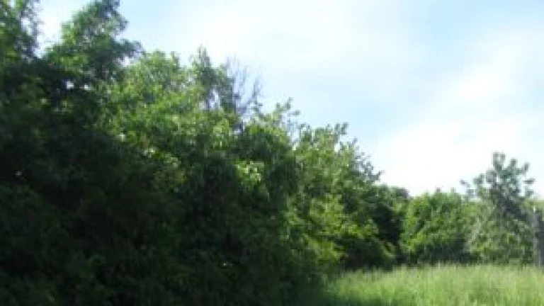 Výmena, predaj pozemku