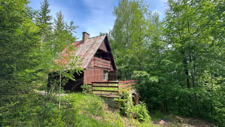 Investičná príležitosť: 4,6ha lesný pozemok s chatou blízk