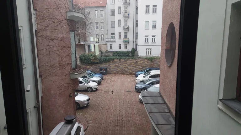 BOSEN | Prenájom kancelárskych priestorov 209,82m2 na Panens