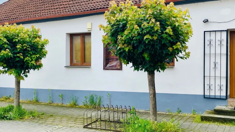 Na prenájom komerčné, prevádzkové priestory v centre, Nové M
