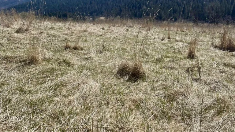 Slnečný investičný pozemok s výhľadom na Roháče