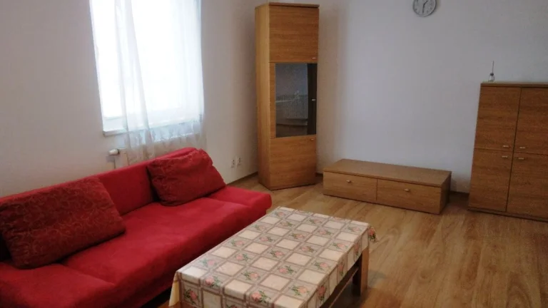 Prenajmem 1 izbový byt.