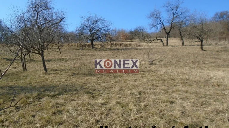 Na predaj pozemok - vinica pri obci Vinné (3 453 m2)