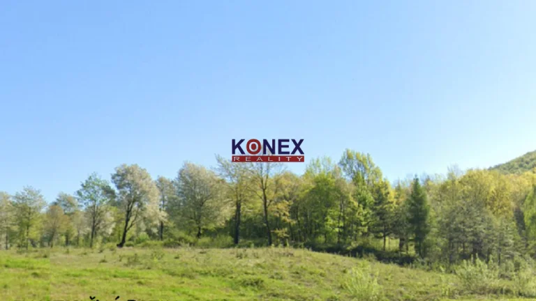 Lesný pozemok v k.ú. Veľká Tŕňa