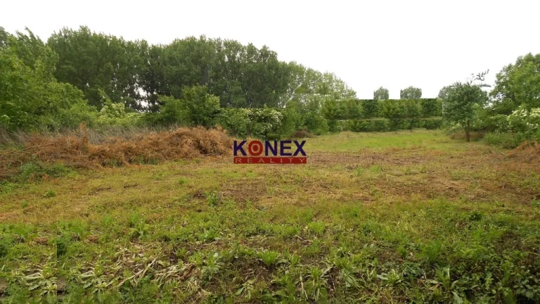 Pozemok v obci Belá nad Cirochou