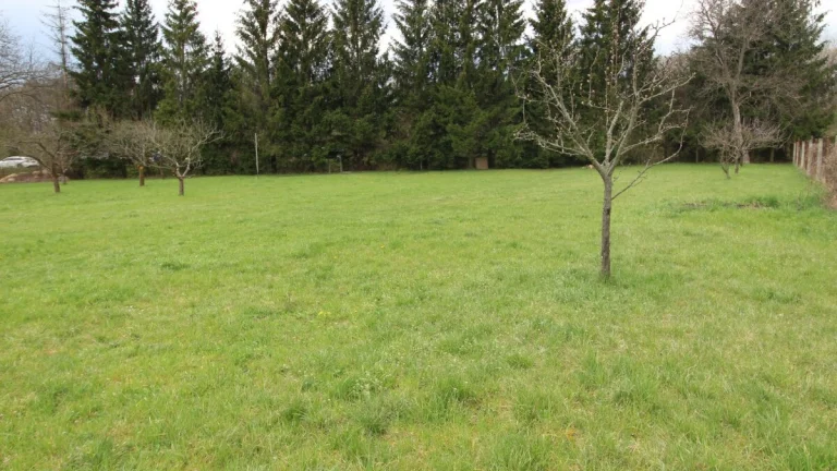 Stavebný pozemok / PRAVENEC