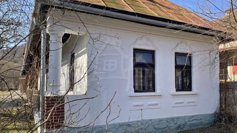 Chalupa na rekreáciu, alebo podnikanie v obci Silická Jabl