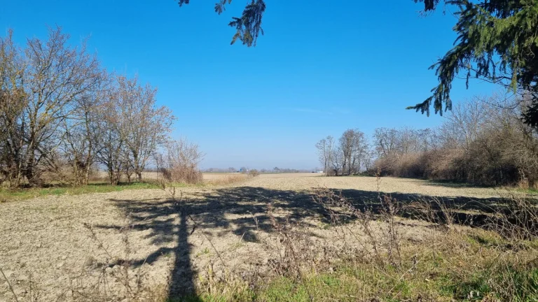 BOSEN | Na predaj investičný pozemok 2500 m2 pri obci Beketf
