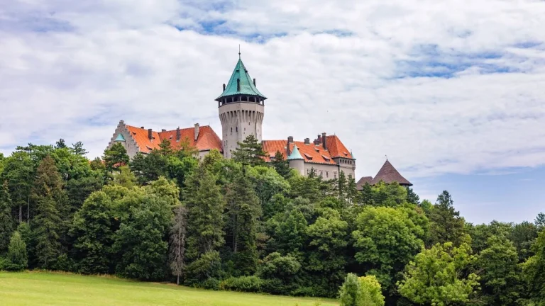 Záhrada