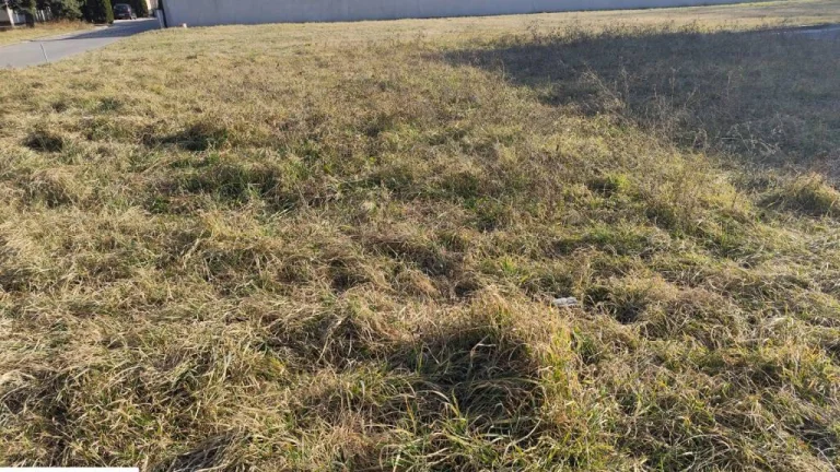 Na predaj stavebný pozemok - Nové Zámky