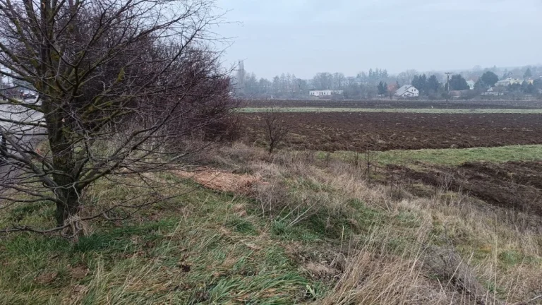 Predám pozemok v Suchej nad Parnou