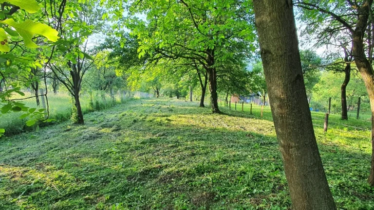 Trenčianske Jastrabie