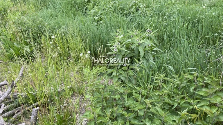 HALO reality - Predaj, pozemok pre rodinný dom 593 m2 Preš