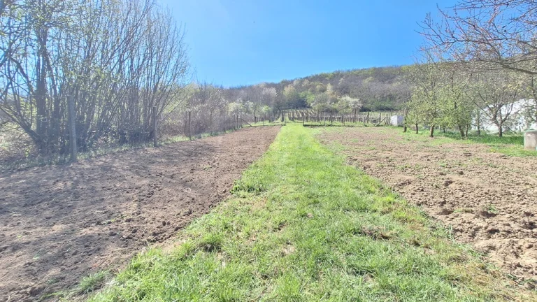Rozľahlý 4500 m2 pozemok na hospodárenie s vínnym domom v