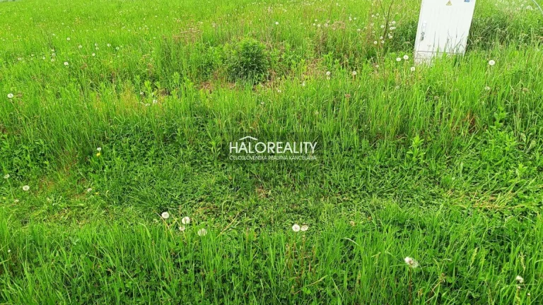HALO reality - Predaj, pozemok pre rodinný dom 744 m2 Marg