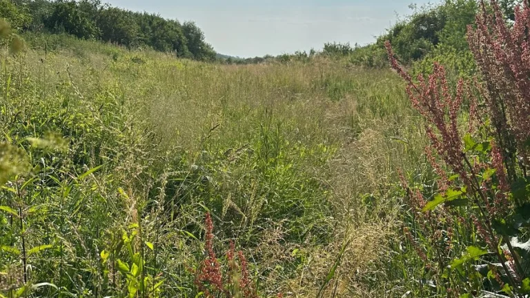 Prodám dům + zahradu v Krasznokvajdě v Maďarsku