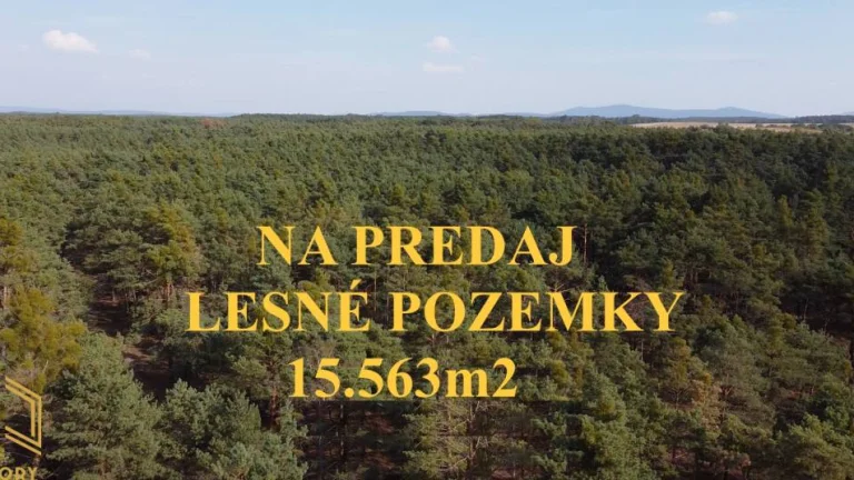 LESNÉ POZEMKY 15.563m2, BORSKÝ MIKULÁŠ, okr. SENICA