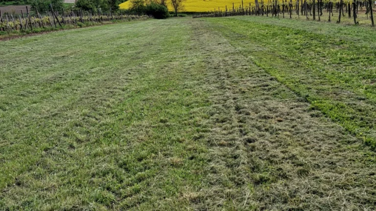 Pozemok 5 á na stavbu, veľ. dvoj-pivnica, ďalší 18 á pozemok