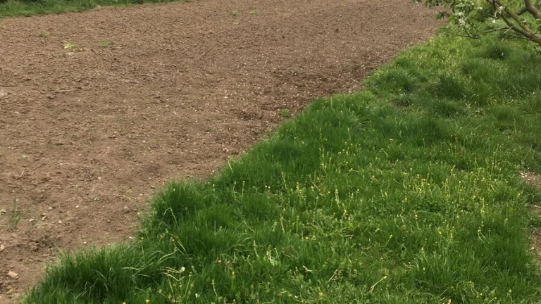 Predám pozemok Janovce Machalovce pri Poprade 1000m2
