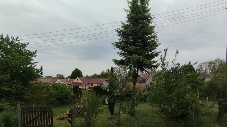 Pozemok Dubovce