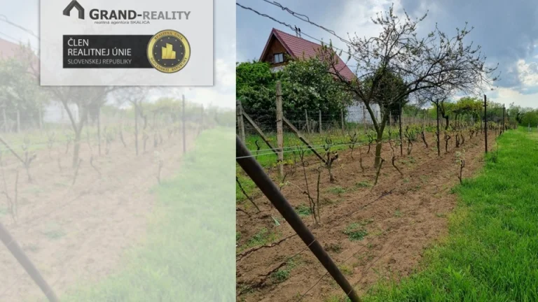 Na predaj vinohrad v meste Skalica - lokalita Žobráky