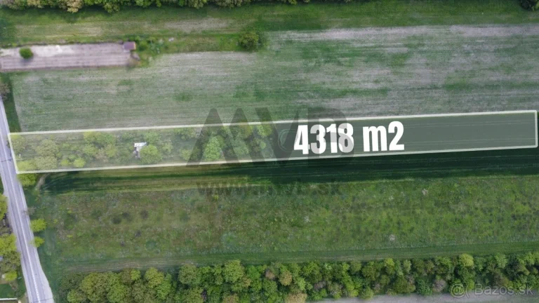 43 ÁROVÝ POZEMOK S ELEKTRINOU A STUDŇOU | NOVÁ STRÁŽ