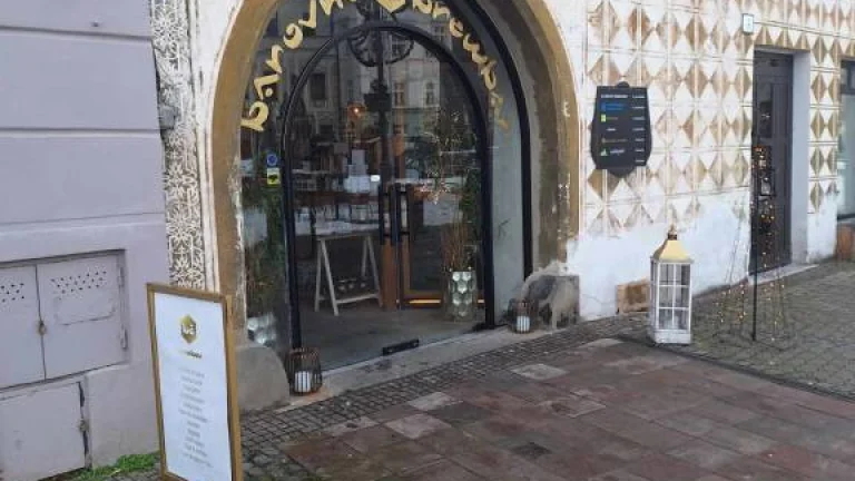 ODSTÚPENIE PRIESTORU – HĽADÁ SA NÁHRADA DO NÁJMU